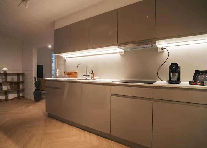 Nyrenovert Unikt Sentral Appartement *